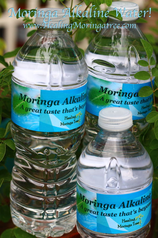 Moringa Drinking Water 💦 Moringa alkaline water * alkaline water cancer, alkaline  water benefits, alkaline water brands, alkaline water delivery, filtered  water, alkaline water near me, water - MORINGA CAPSULES BENEFITS*MORINGA  TREES